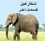 شکارِ فیل - قسمت آخر